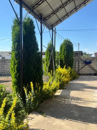 a row of plants in a parking lot at Crown Inn & Spa in Karakol