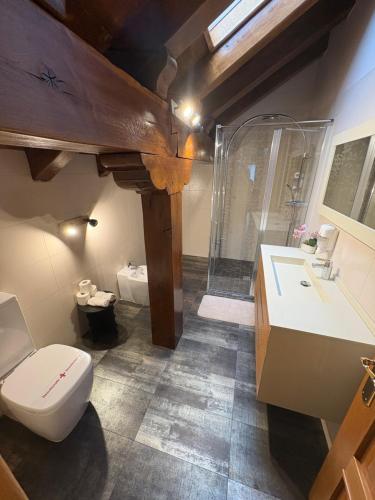 a bathroom with a toilet and a sink and a shower at La Casona El Carrascal in La Gandara