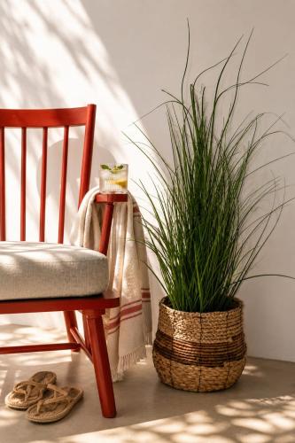 a plant in a basket next to a wooden chair at Oliaros Seaside Lodge in Agios Georgios