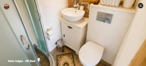 a small bathroom with a toilet and a sink at Vilimu Sodyba - VIP Room in Kriukai
