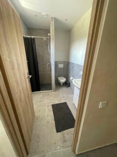 a bathroom with a shower and a toilet and a sink at Pušų Sodas in Birštonas