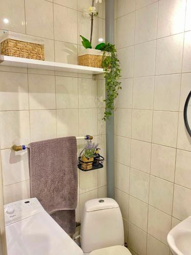 a bathroom with a toilet and a sink at Väikekorter in Pärnu