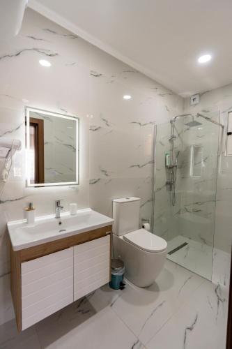 a bathroom with a toilet and a sink and a shower at Hotel Aleks in Shkodër