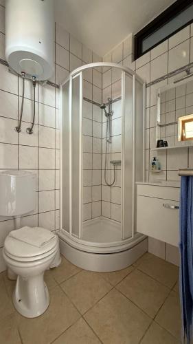 a bathroom with a shower and a toilet in it at Villa Berlin in Bol