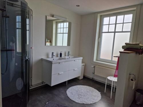 a bathroom with a sink and a shower and a mirror at Manus Ferienwohnung in Brevik