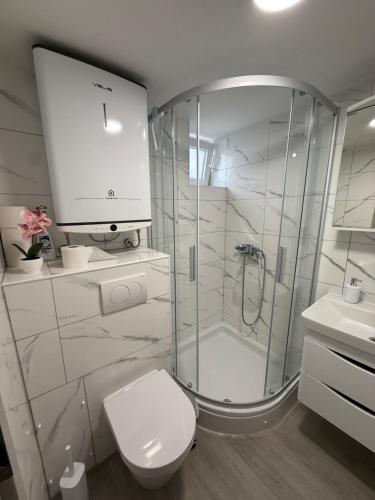 a bathroom with a shower and a toilet and a sink at Apartments Šestan in Novalja