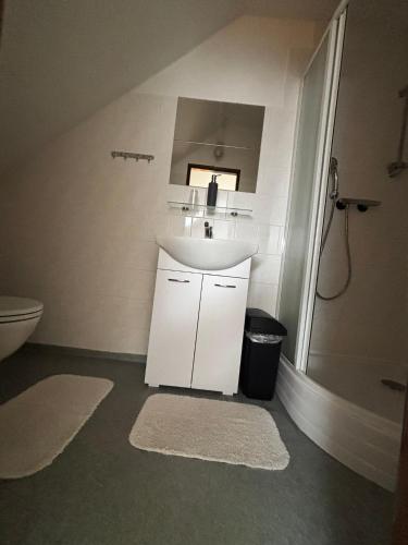 a bathroom with a sink and a shower at Penzion U Horejšů, Zadov - Churáňov in Stachy