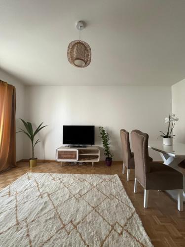 a living room with a tv and a table and chairs at Apartment in Stäfa in Stäfa