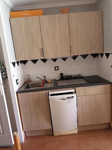 a small kitchen with a sink and a dishwasher at le dramont in Saint-Raphaël