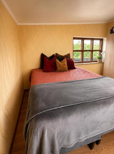 a bedroom with a large bed with red pillows at Cenkones Bungalow in Cenkoņi