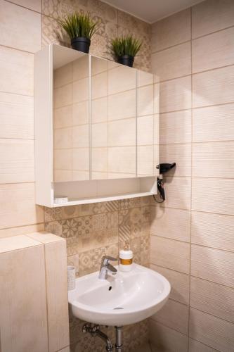 a bathroom with a sink and a cabinet with plants on it at Naglio apartamentai Elija in Šventoji