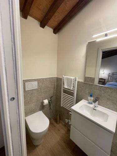 a bathroom with a toilet and a sink and a mirror at Agriturismo Podere La Casaccia in Poppi