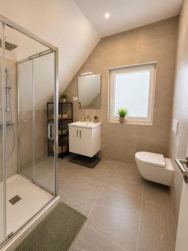 a bathroom with a shower and a toilet and a sink at The River House in Mavčiče