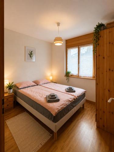 Ovronnaz La Roussane Appartement Spacieux et Confortable