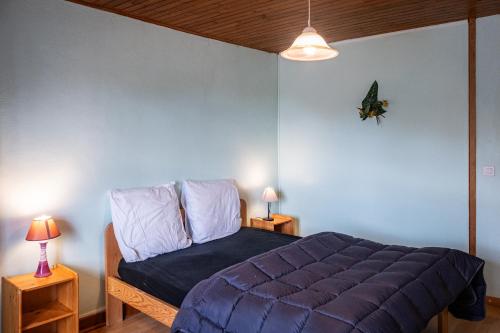 a bedroom with a bed with blue walls and two lamps at la margeride in Le Malzieu Forain