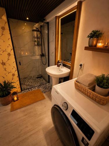 a bathroom with a shower and a sink and a washing machine at Cenkones Bungalow in Cenkoņi