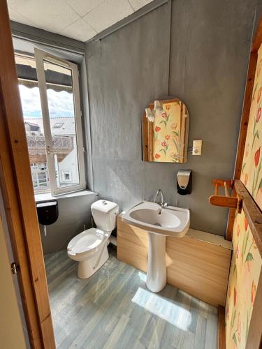 a small bathroom with a toilet and a sink at Le grand cerf Blain in Blain