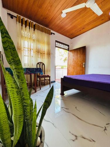 a room with a bed and a table and a plant at Tropical Point Inn in Matara