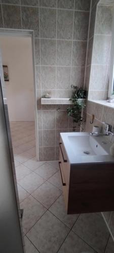 a bathroom with a sink and a mirror and a shower at Agroturystyka Magnolia in Cieszyno
