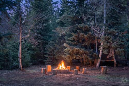 a fire pit in the middle of a forest at Rustic Mountain Log Cabin with Fire Pit in Duck Creek Village