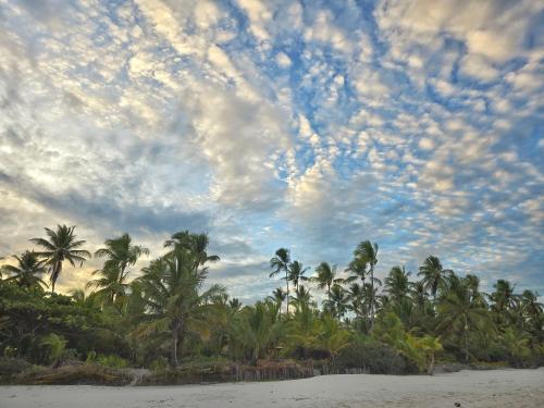 a group of palm trees on a beach with a cloudy sky at Acalanto do Sargi in Uruçuca