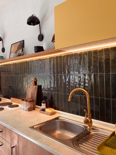 a kitchen with a sink and a counter top at Bragorski Apartment in Makedonski Brod