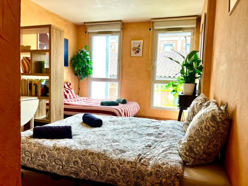 Escapade toulousaine, studio confort et bien situé