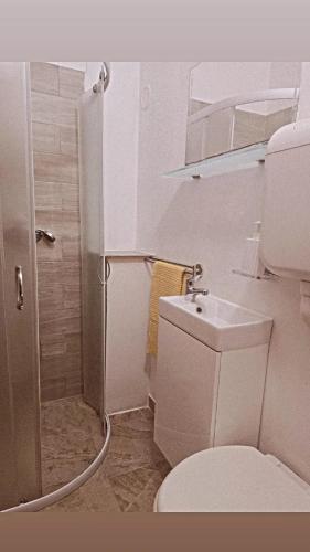 a small bathroom with a toilet and a shower at Hostel Obrovac in Obrovac