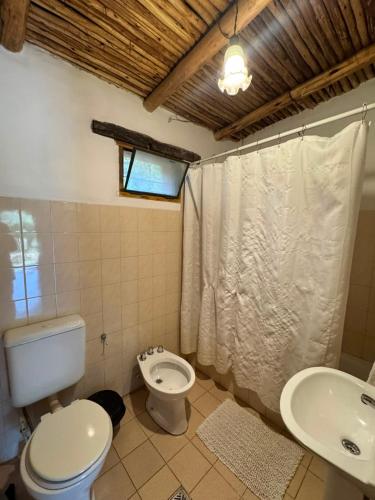 a bathroom with a toilet and a sink at El Caserío Jujuy in Volcán