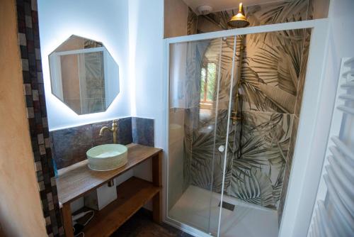 a bathroom with a shower with a sink and a mirror at Ferme du ru paisible in Tournières