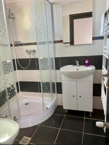 a bathroom with a shower and a sink and a toilet at Vila Rin in Mangalia