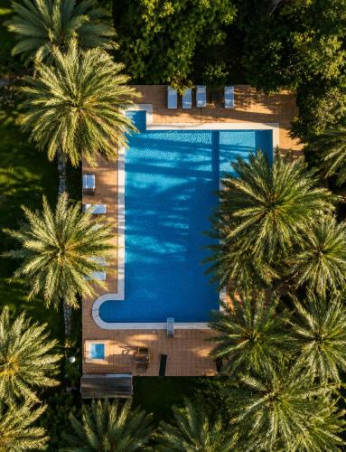 an overhead view of a swimming pool with palm trees at Pink Lemon House in Elche