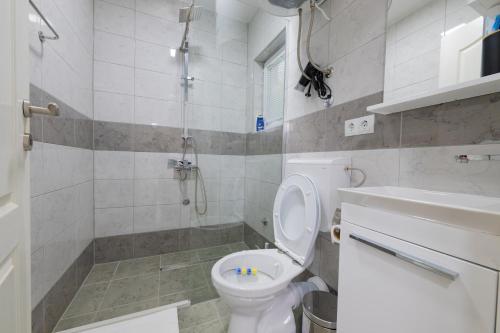 a bathroom with a shower and a toilet and a sink at Golden Lake House in Konjic