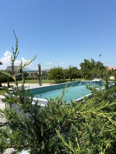 a swimming pool with trees in the foreground at Cabana Carpatin in Ocna-Mureşului