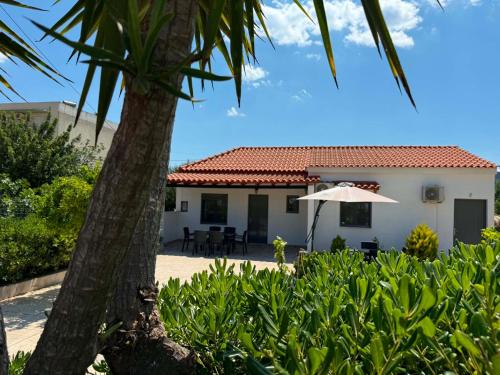 a house with a palm tree and an umbrella at Calliopi's studio in Plytra