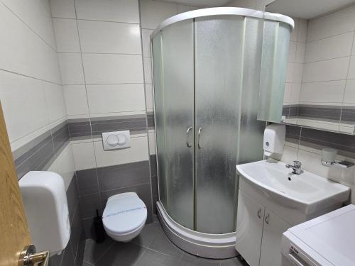 a bathroom with a shower and a toilet and a sink at Sunny apartment in Niš