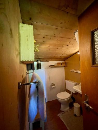 a small bathroom with a toilet and a refrigerator at Naturlodge Gadestatt in Loch