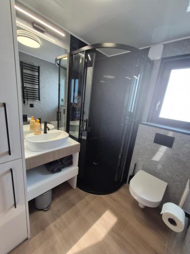 a bathroom with a shower and a sink and a toilet at Eifelchalet Mendig in Mendig