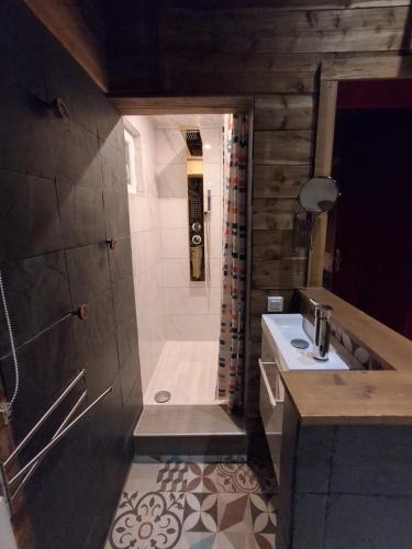 a bathroom with a shower and a sink at Le Chalet Lasseube in Lasseube