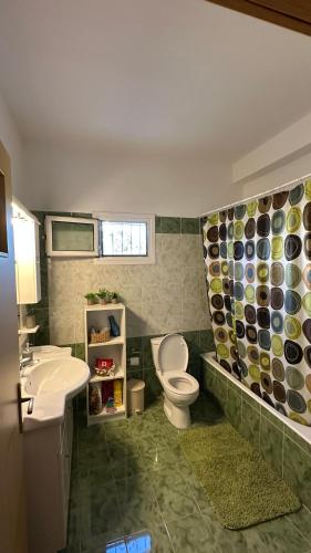 a bathroom with a toilet and a sink at Todos home in Amalias