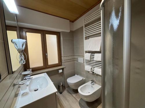 a bathroom with a sink and a toilet at Hotel Garnì Ai Serrai in Rocca Pietore