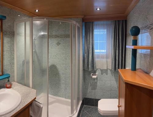 a bathroom with a shower and a toilet and a sink at Gasthof Perfler in Außervillgraten