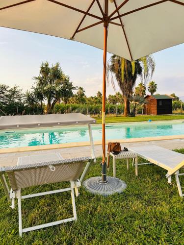 a picnic table with an umbrella next to a swimming pool at Serenity House Latina in Latina
