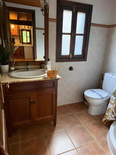 a bathroom with a sink and a toilet and a mirror at Finca Nim 1 in Mogán