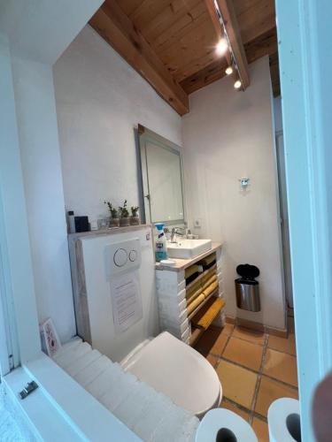 a bathroom with a toilet and a sink and a tub at foresthaus in Glücksburg