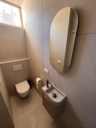 a bathroom with a sink and a mirror and a toilet at naMaaStay in Maastricht