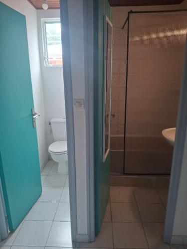 a bathroom with a toilet and a glass shower door at Simple, discret et fonctionnel in Le Lamentin