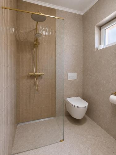 a bathroom with a shower and a toilet at Studio Allure 2 in Kornić