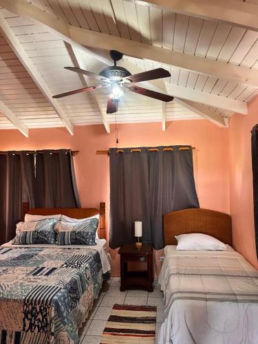 a bedroom with two beds and a ceiling fan at Ellen Bay Cottages in Saint Philips