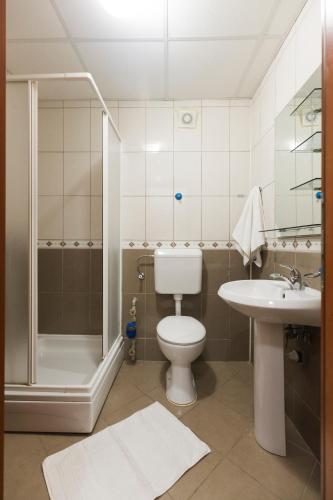 a bathroom with a toilet and a sink and a shower at Nikola Apartments in Ohrid